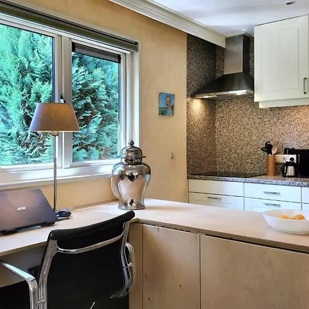 Cozy In With Kitchen Holiday home Vorden
