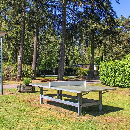 Cozy In With Kitchen Casa vacanze Vorden