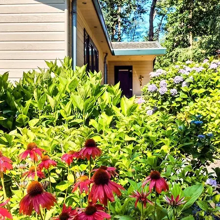 度假居 Cozy In With Kitchen